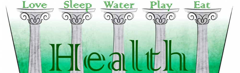 The Five Pillars of Health